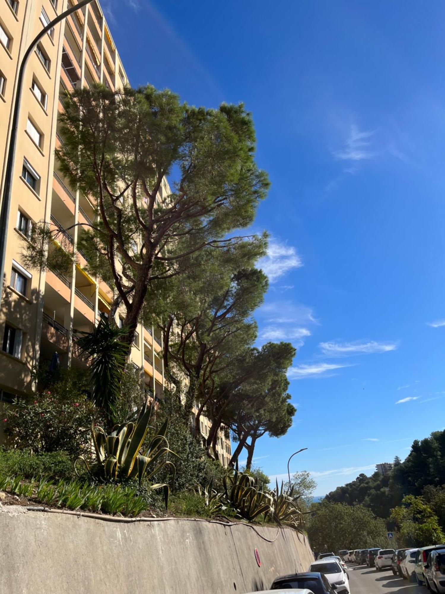 F4 80m2 Fabron, Parking * Nizza